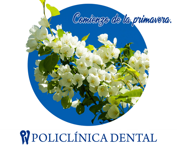Policlínica Dental imagen de flores